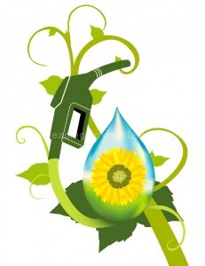 http-haitibiodiesel.webs_.com_