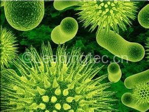 土壤固碳微生物(細(xì)菌和藻類)豐度和多樣性