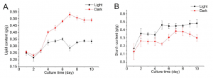 生長在葡萄糖培養(yǎng)基中小球藻在光照及非光照情況下細(xì)胞油脂及淀粉含量隨時間變化圖