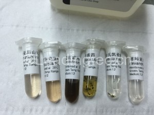 4-添加1毫升RNAlatter重懸細胞_2