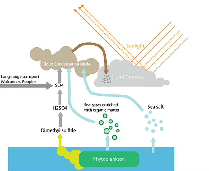 Science：南半球大洋浮游植物能“吞云吐霧”