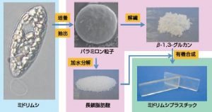 圖18. 日本產業(yè)技術綜合研究所、NEC公司與宮崎大學等單位聯(lián)合開發(fā)了利用裸藻生產生物塑料的技術。