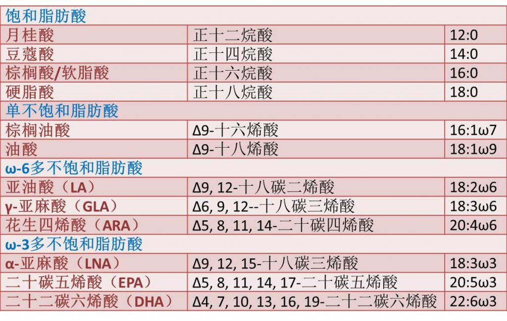 表1.常見脂肪酸的不同命名比較