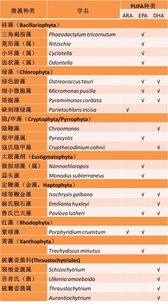 表2.研究和生產(chǎn)中常見的含有PUFA的微藻（菌）種類