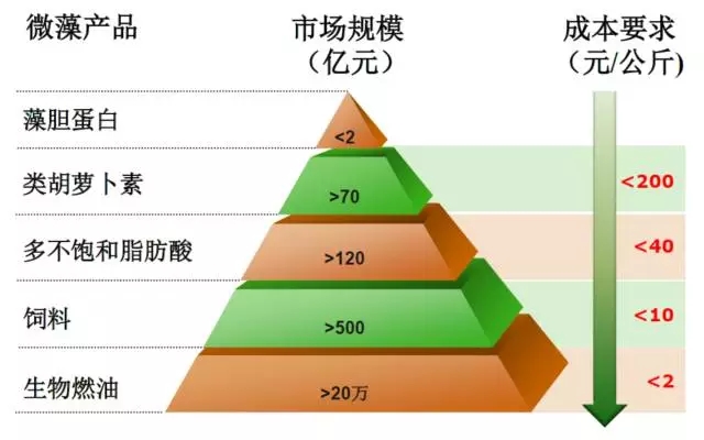 微藻產(chǎn)業(yè)化