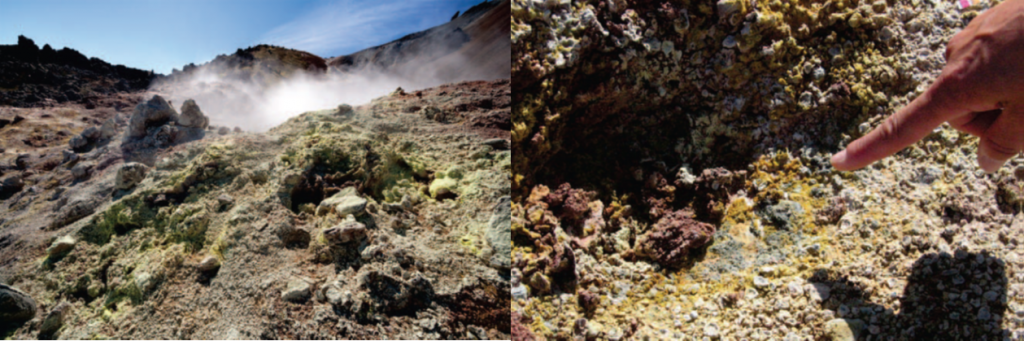 位于冰島東南部Hekla的Landmannalaugar（蘭德曼納勞卡高地），為歐洲著名的溫泉區(qū)域。該處分離得到的為G. sulphararia和G. maxima。